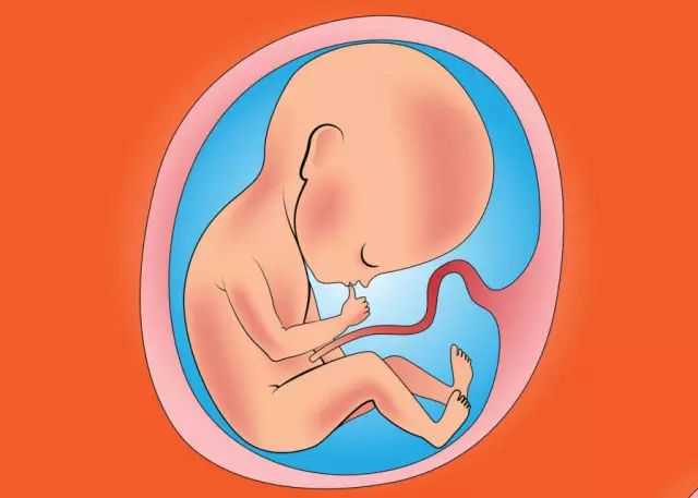 妊娠早期1个月,淡粉色分泌物预示着你即将到来的新生命