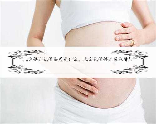 北京供卵试管公司是什么，北京试管供卵医院排行