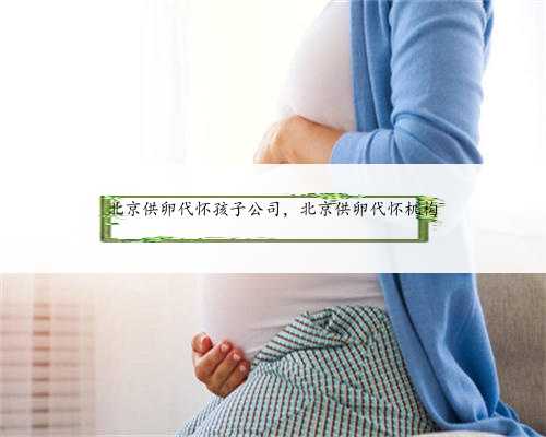 北京供卵代怀孩子公司，北京供卵代怀机构
