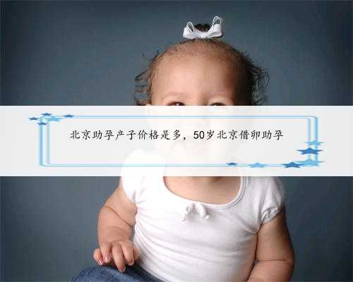 北京助孕产子价格是多，50岁北京借卵助孕