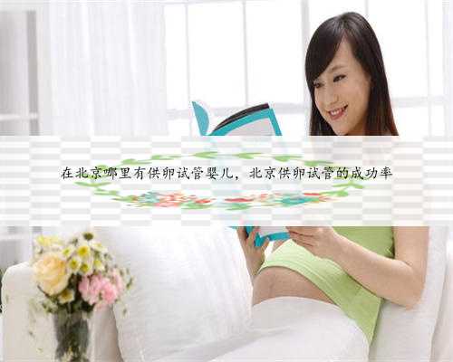 在北京哪里有供卵试管婴儿，北京供卵试管的成功率