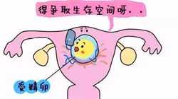 2022北京市妇女儿童医院试管婴儿成功率一览，附2022助孕成功率预估表