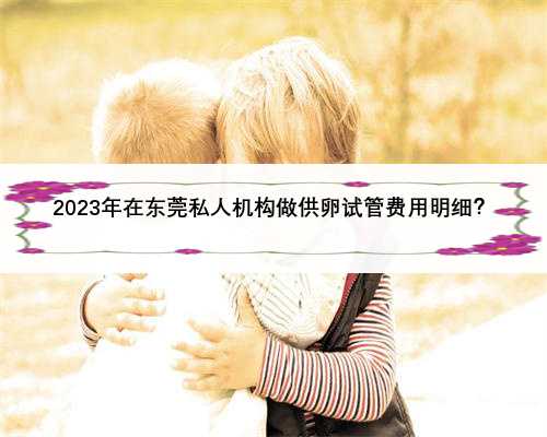 2023年在东莞私人机构做供卵试管费用明细？