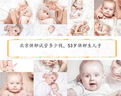 北京供卵试管多少钱，53岁供卵生儿子