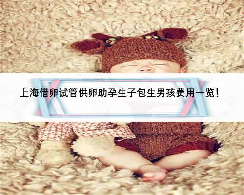 上海借卵试管供卵助孕生子包生男孩费用一览！