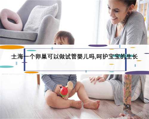 <b>上海一个卵巢可以做试管婴儿吗,呵护宝宝的生长</b>