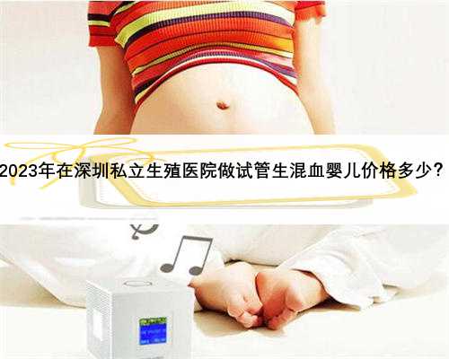 2023年在深圳私立生殖医院做试管生混血婴儿价格多少？